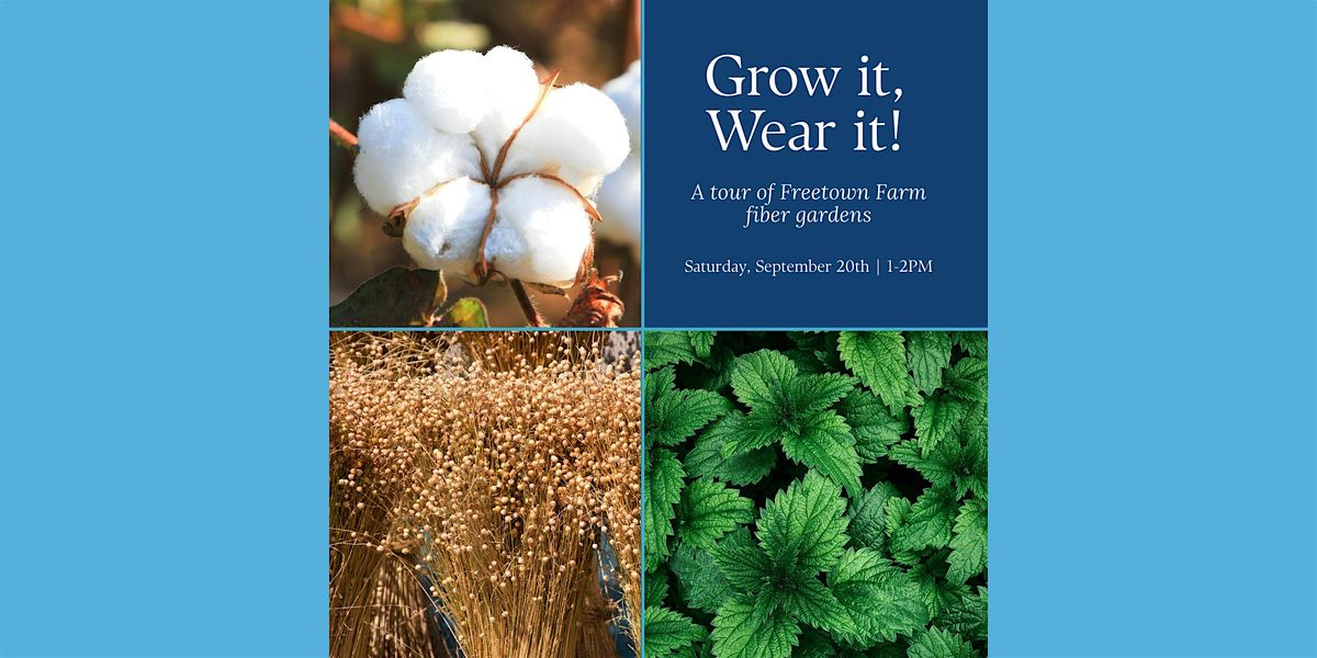 Grow it, Wear it!: A tour of Freetown Farm fiber gardens