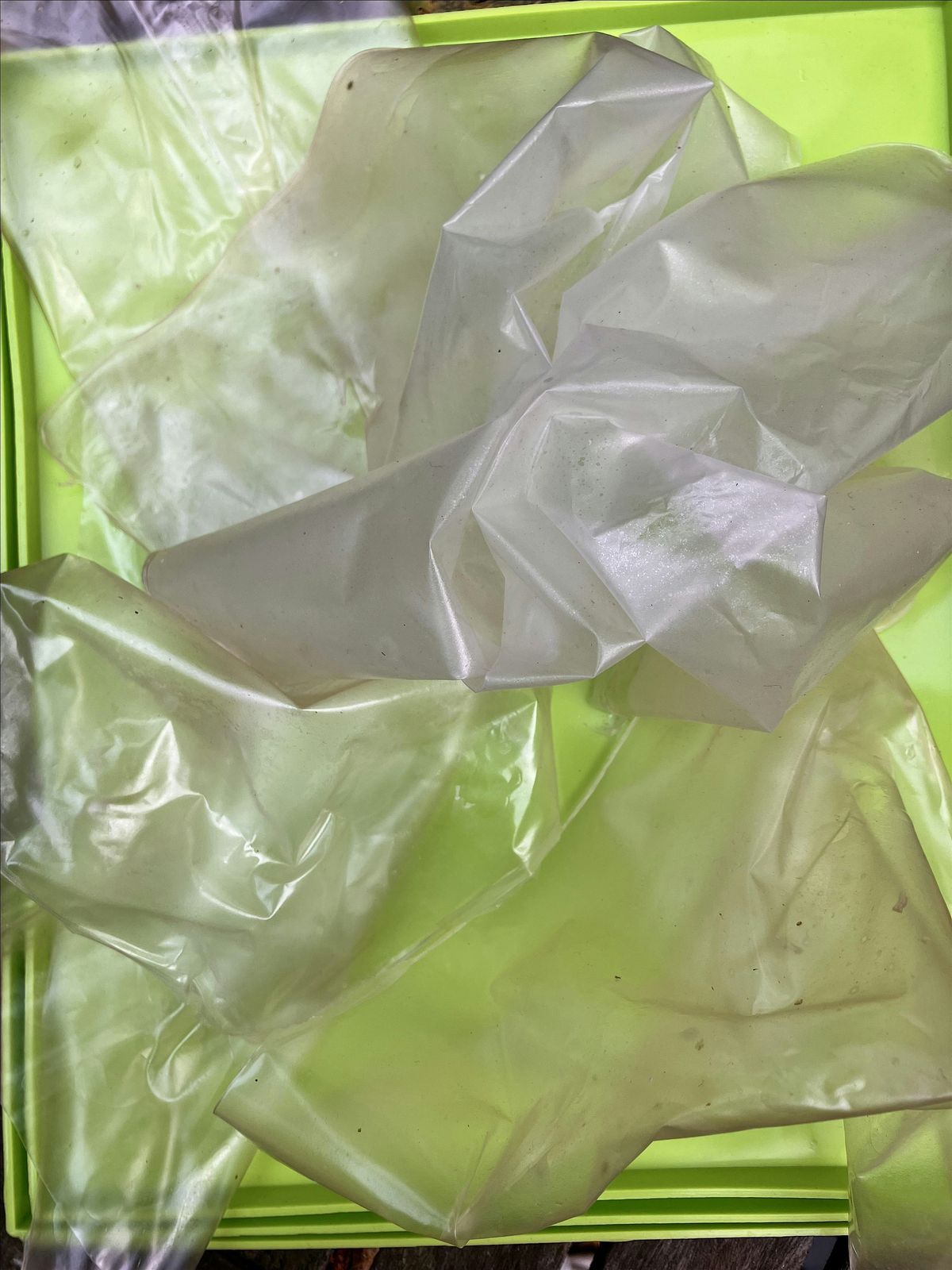 Make your Own Bio-Plastic Workshop