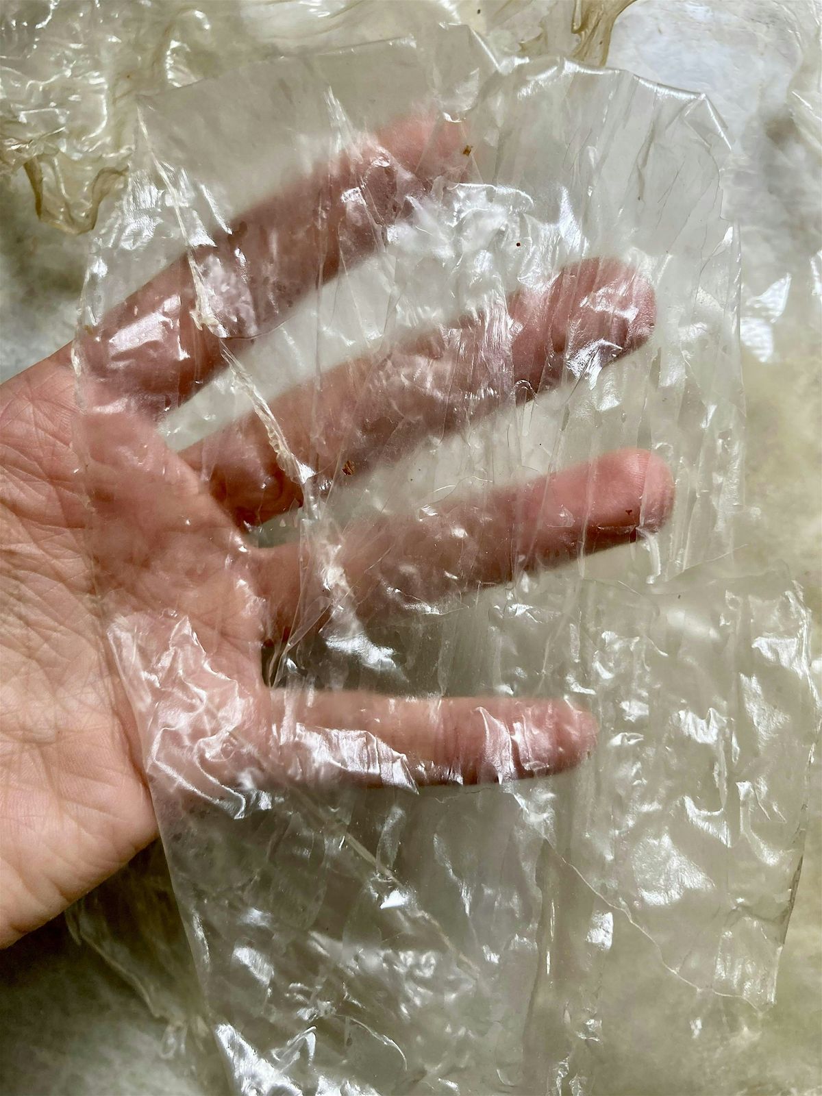 Make your Own Bio-Plastic Workshop