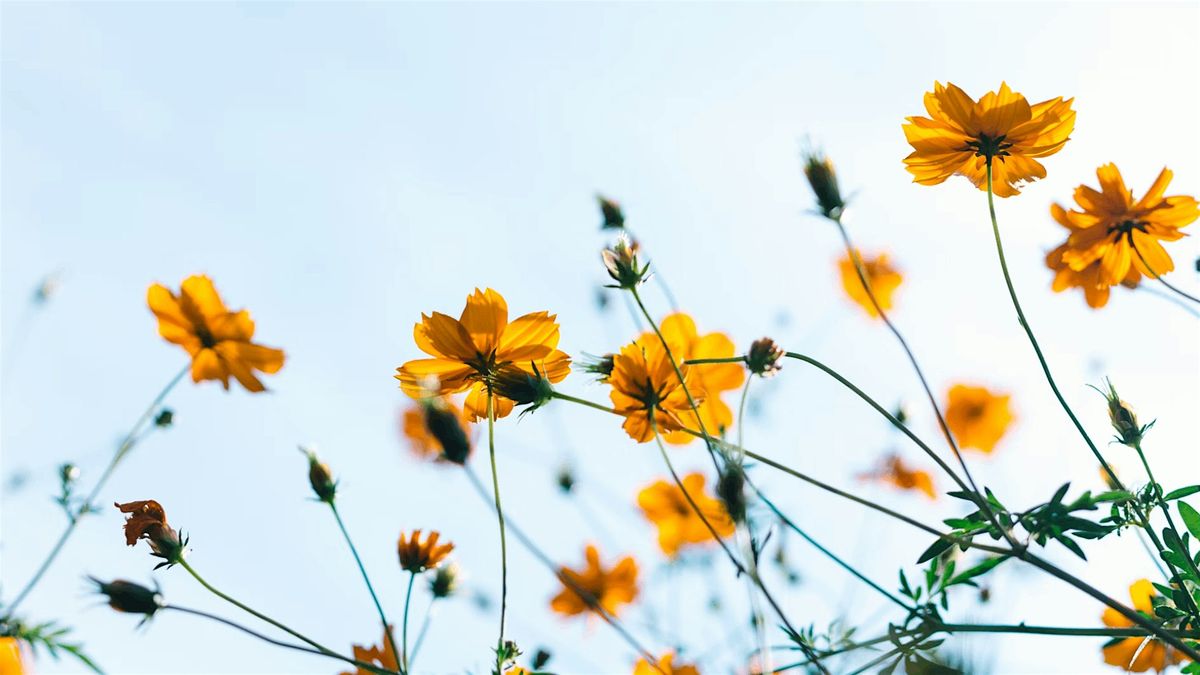 Spring Equinox Gathering