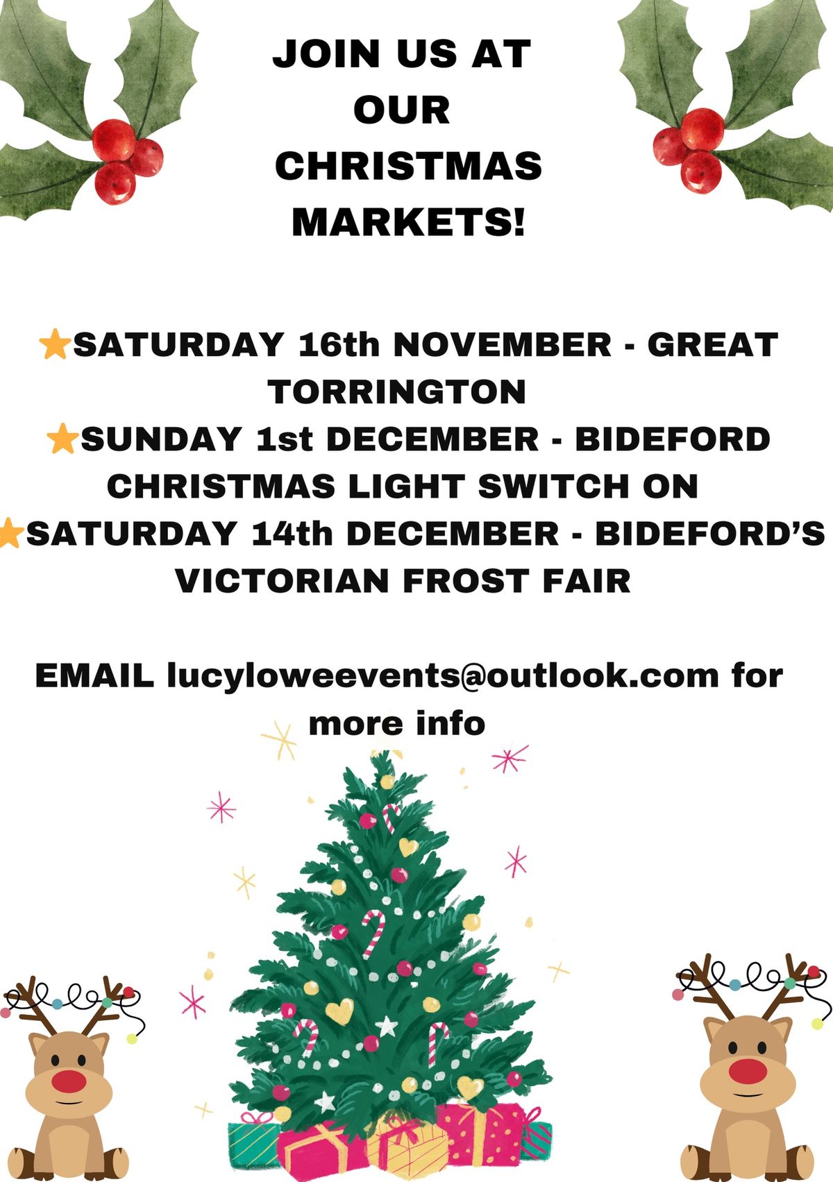 Christmas Market (part of Bideford\u2019s Victorian Frost Fair)