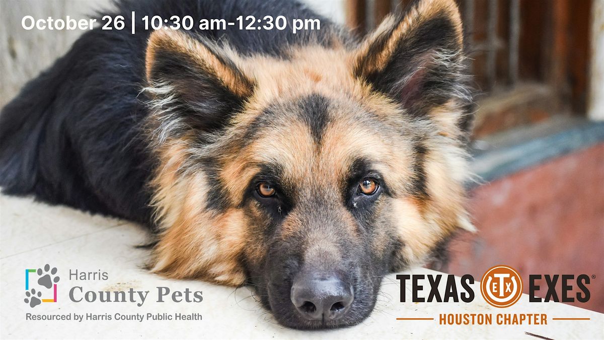 Harris County Pets Community Service Project - Texas Exes Houston chapter