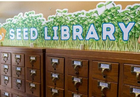 Grand Opening of Seed Library!