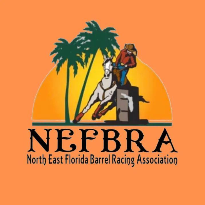 NEFBRA Bit & Spur 