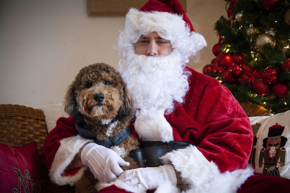 Santa is coming to The Vineyard at Hershey - Pics with dogs, fam & friends!