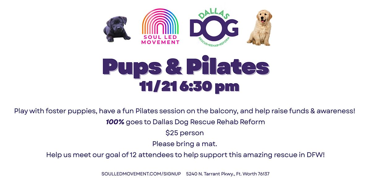 Pups and Pilates