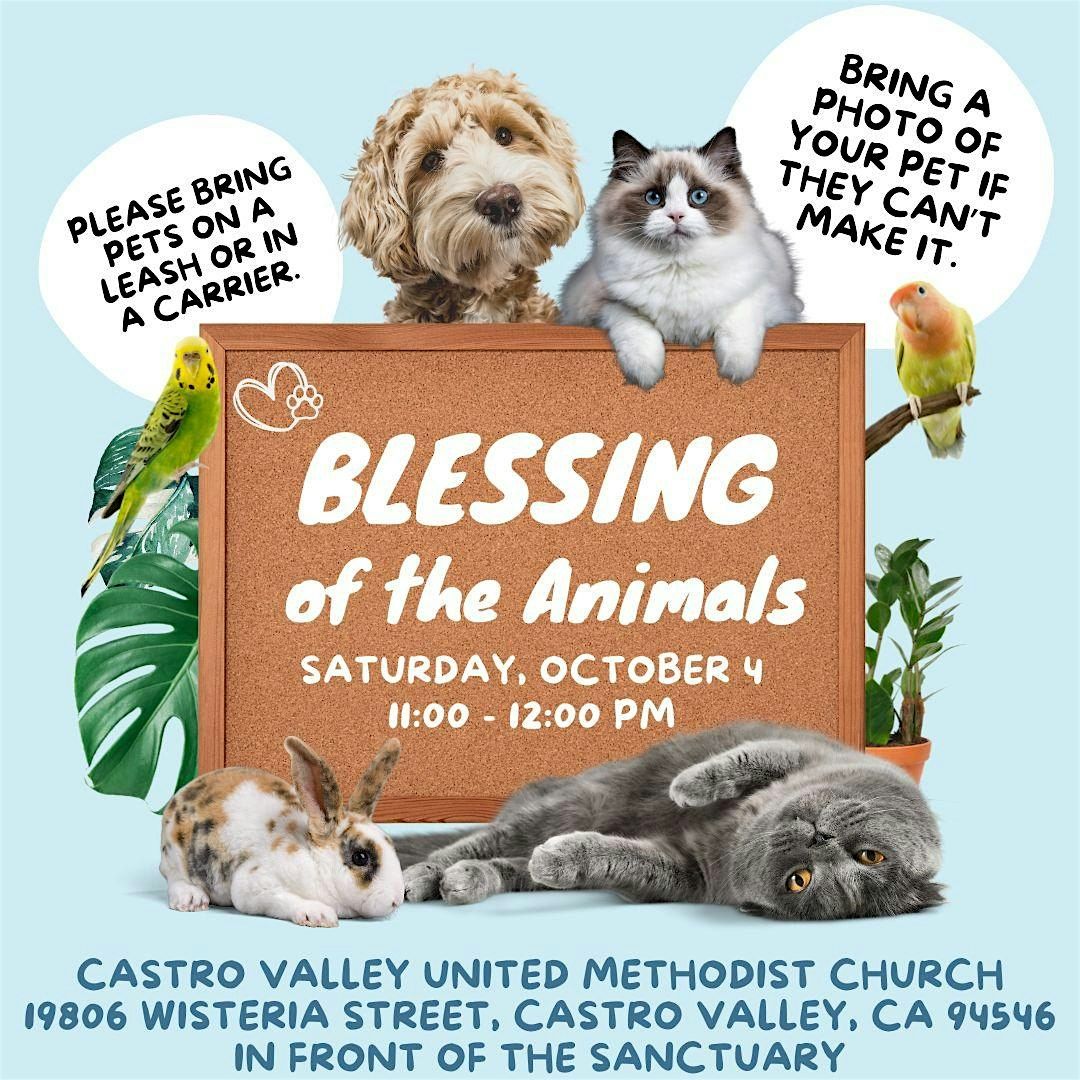 2025 Blessing of the Animals
