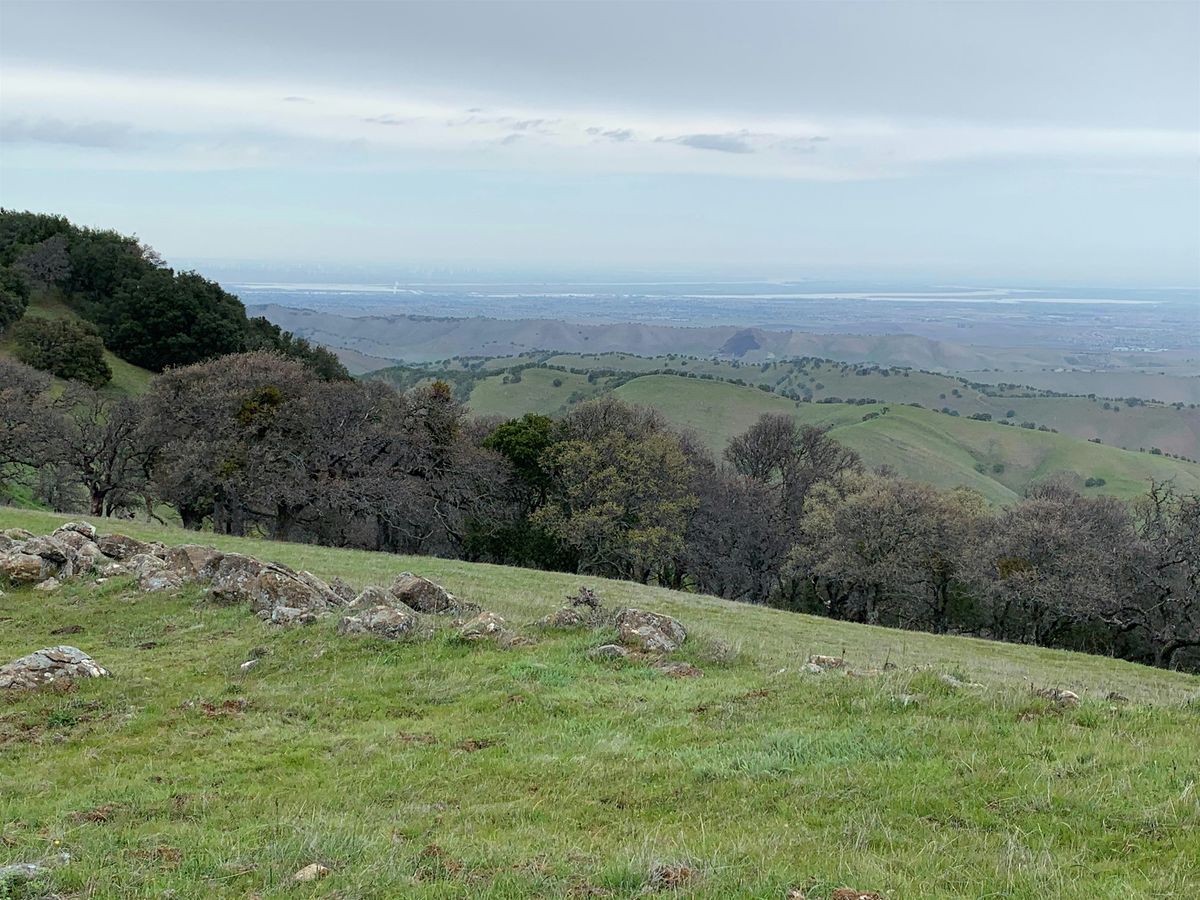 Bob Walker Ridge Hike