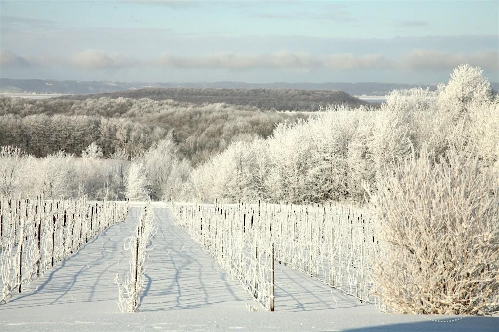 Winter Wine Pass