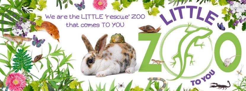 Little zoo to you