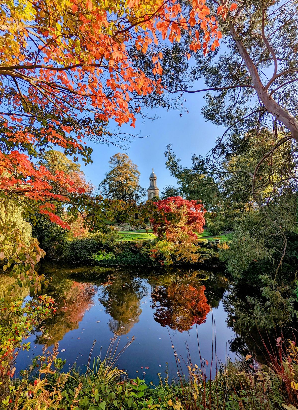 Shrewsbury Town Walk | Shropshire  | 4km | All Welcome!