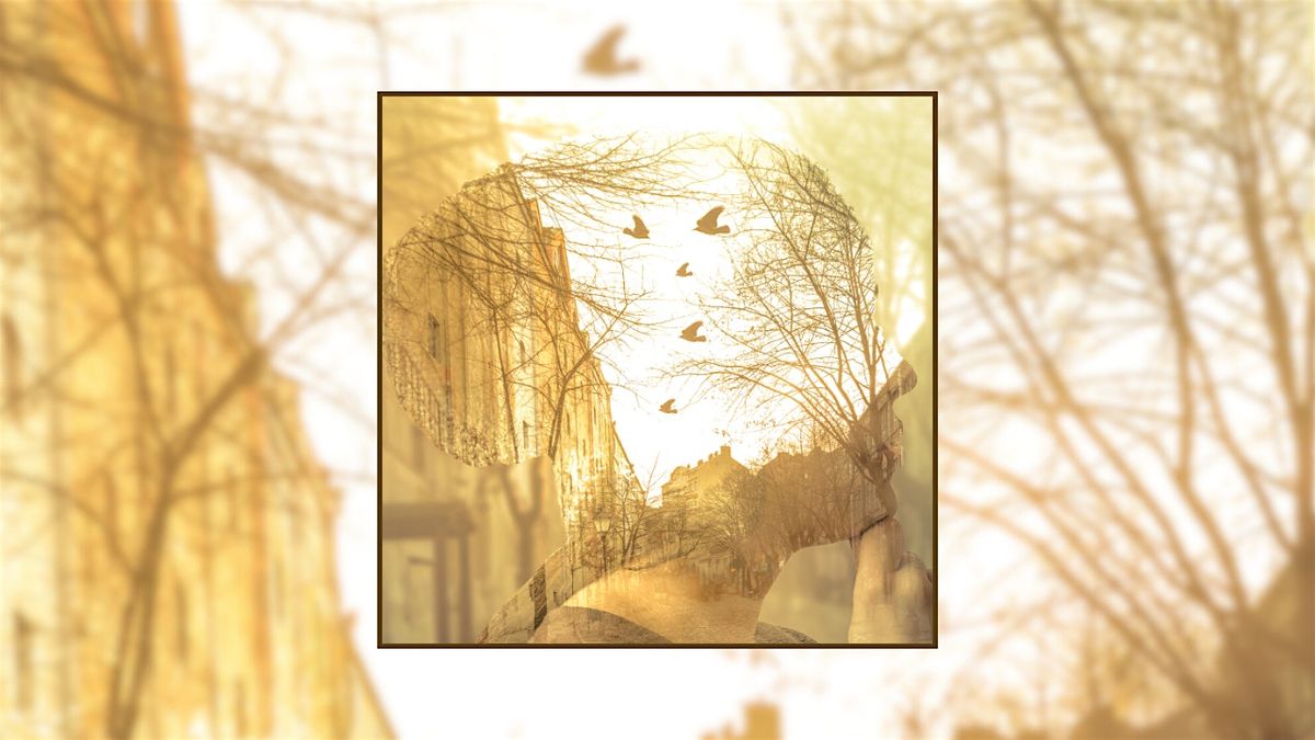 The Power of Imagination: A creative writing workshop for adults