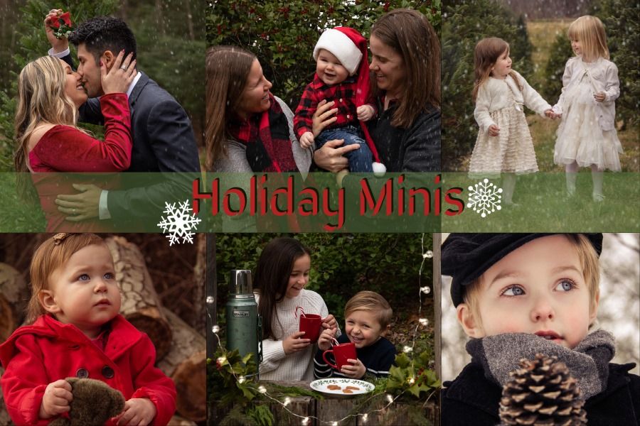 Holiday Minis