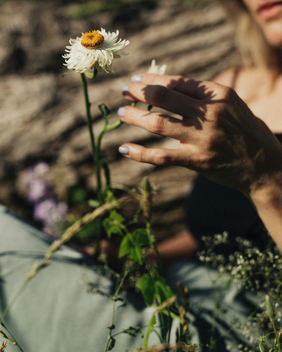 The Natural Reset: Aromatherapy for Anxiety & Stress Relief