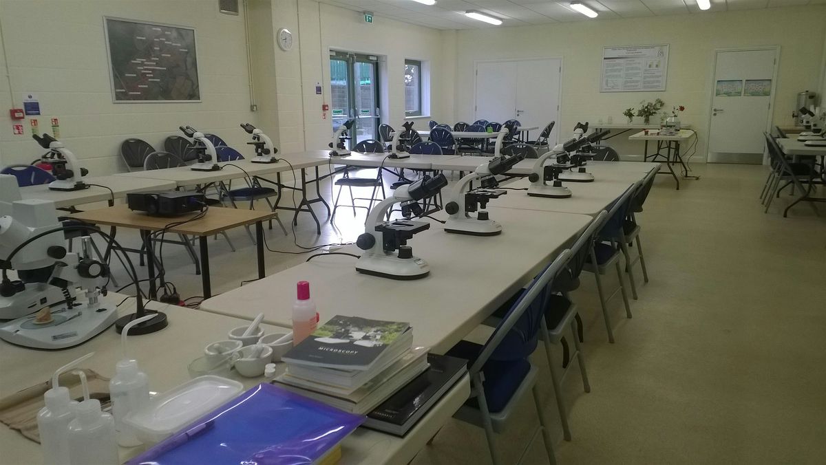 Microscopy for Beekeepers