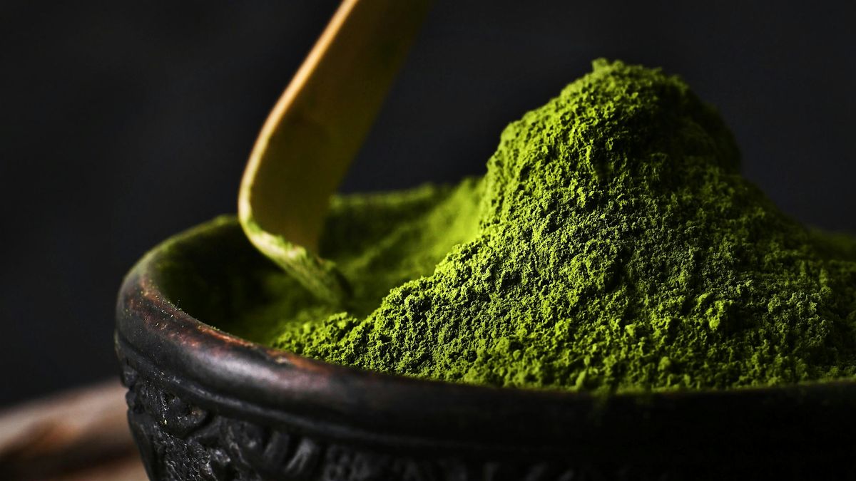 Matcha and its Many Cultivars