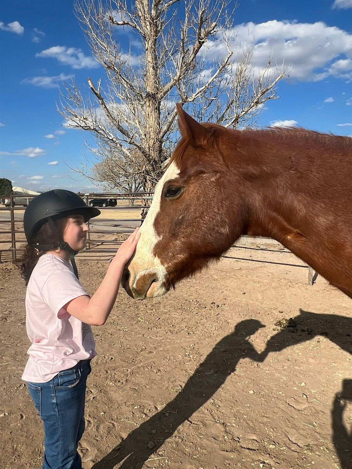 For the Love of Girls and Horses