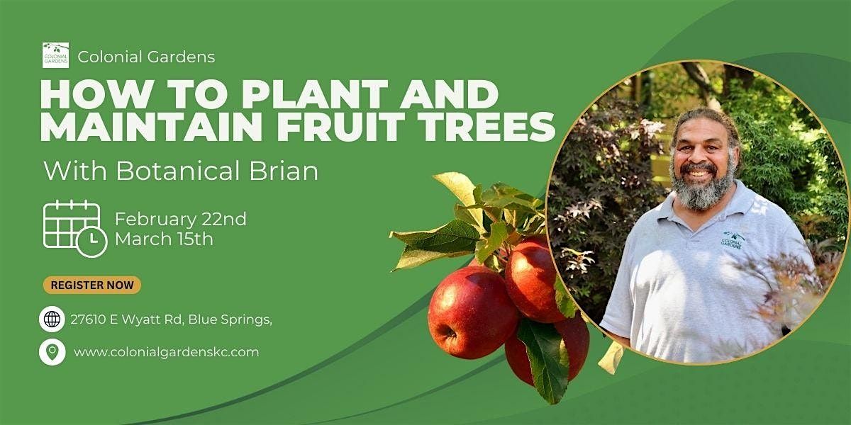 How To Plant and Maintain Fruit Trees with Botanical Brian