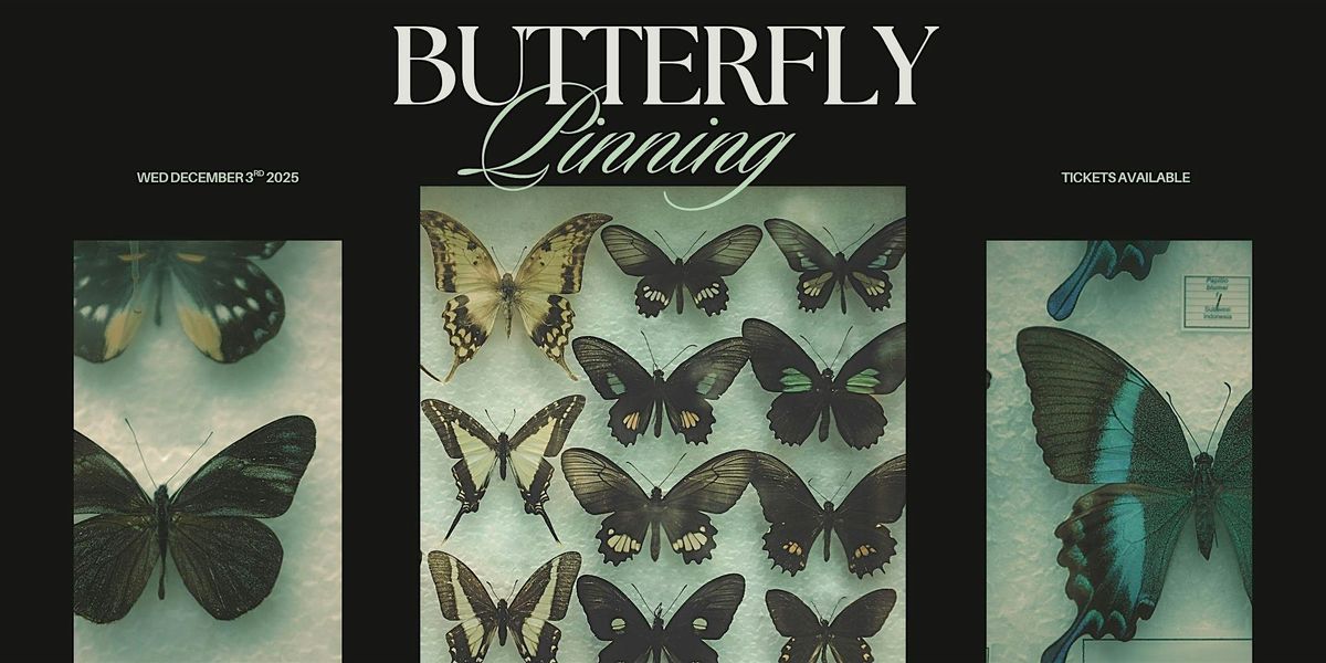 Butterfly Pinning Workshop