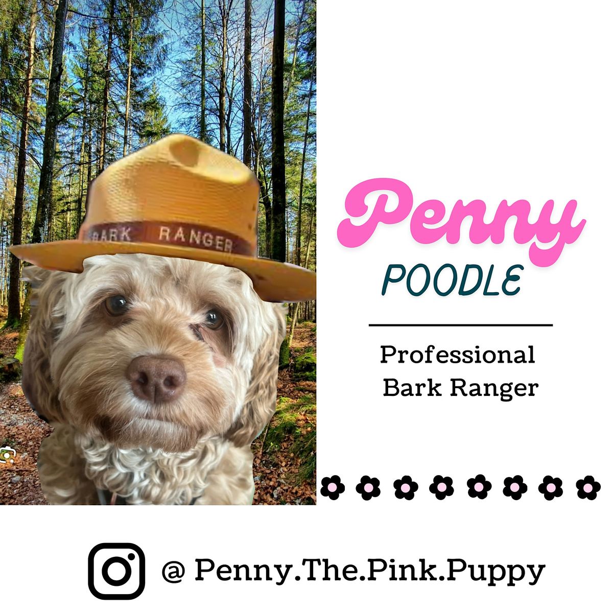Dog Friendly Guided Hike - Powell Butte Trailhead