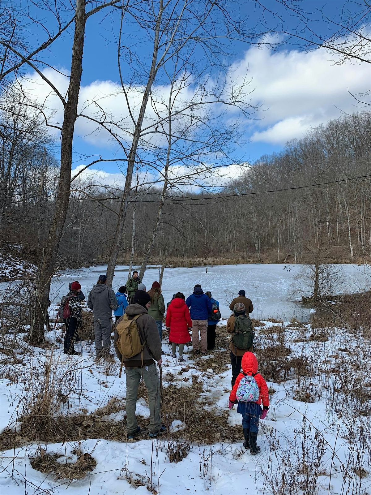 Winter Wildlife Tour