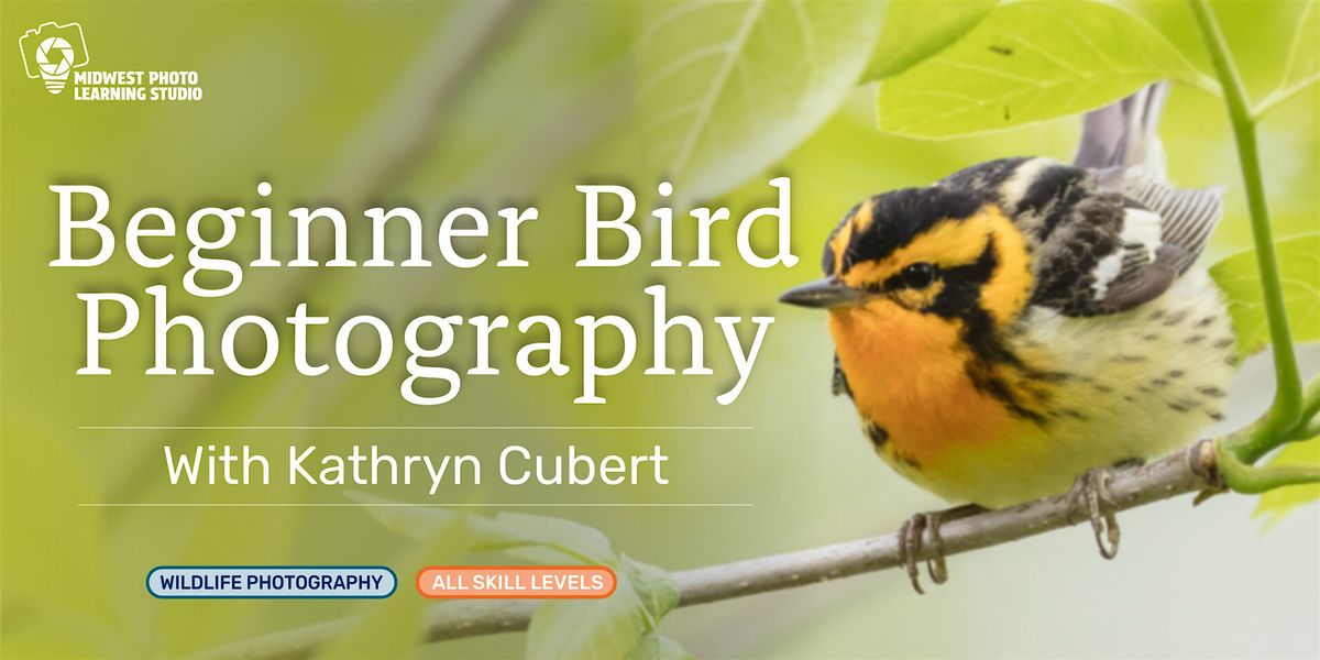 Beginner Bird Photography