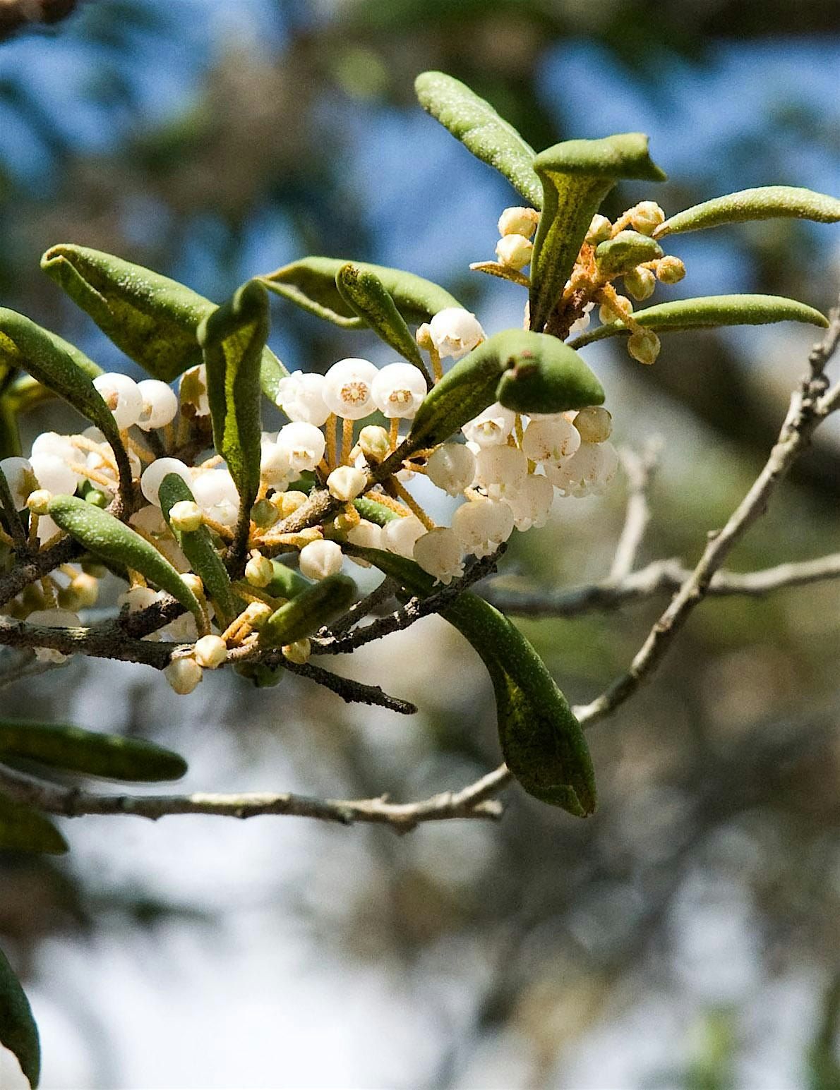 Springtime in the Preserve Hike