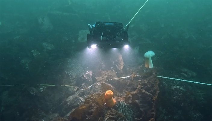 Guest Speaker: Dr. Zachary Randell-  ROV Surveys within Kelp Forests