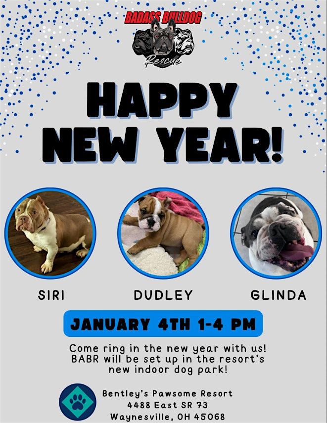 Ring in the New Year Bulldog Style!