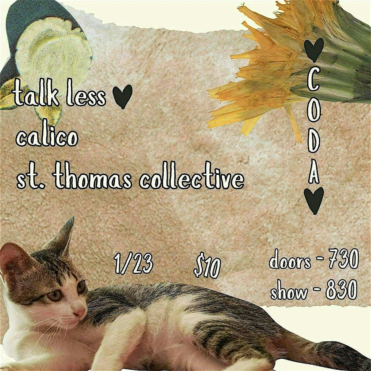 Talk Less | Calico | St. Thomas Collective at CODA