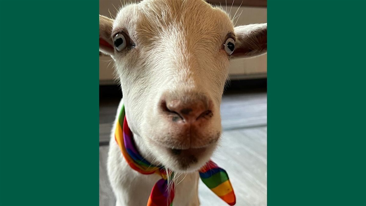 BINGOAT: Goats + Bingo