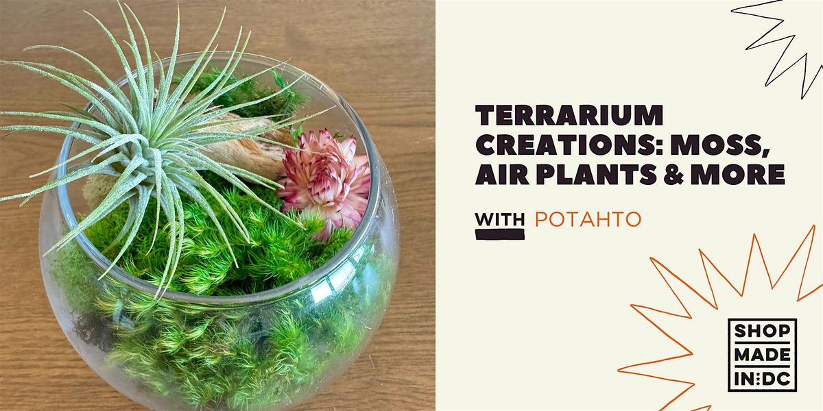 Terrarium Creations: Moss, Air Plants, & More with Potahto