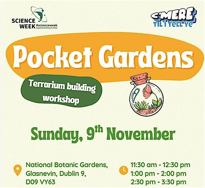 Pocket Gardens - Terrarium Building Workshop