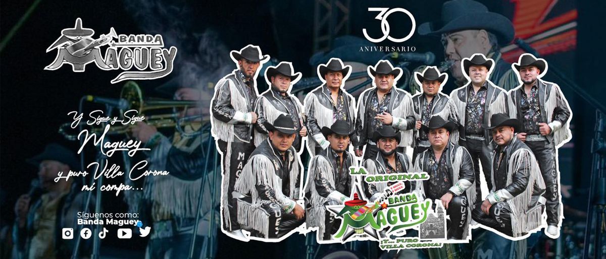 Banda Maguey in Lakeside