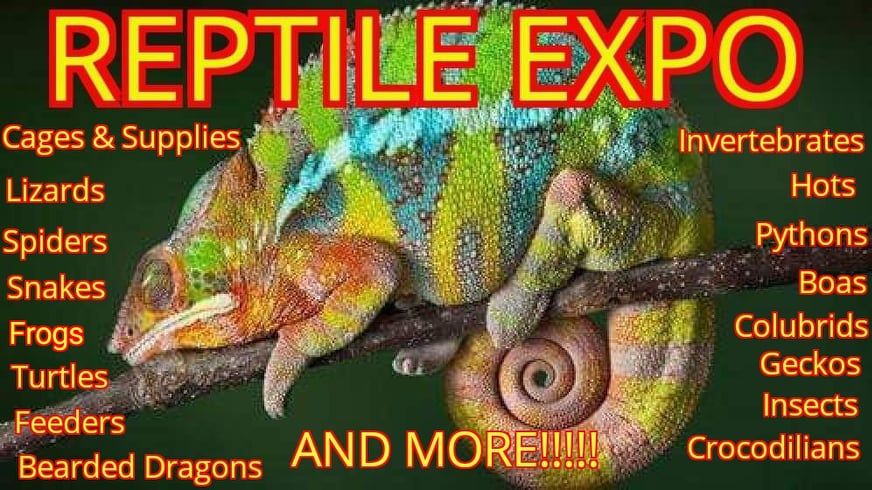 SATURDAY Reptile Expo 11\/23, Exotic Animals & Supplies 100 Station Ave., Oaks, PA HALL C