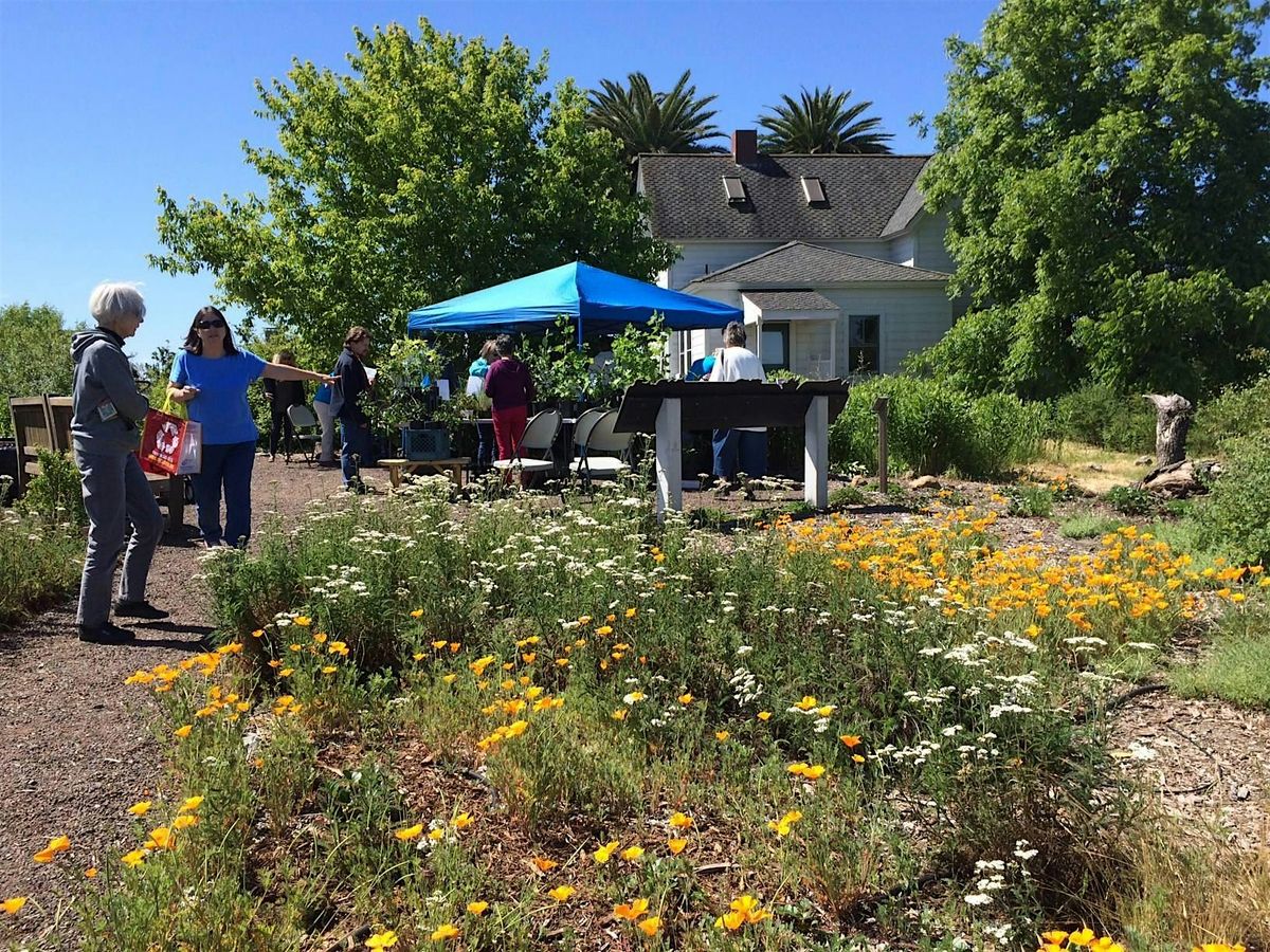 Laguna Open House & California Native Plants Sale