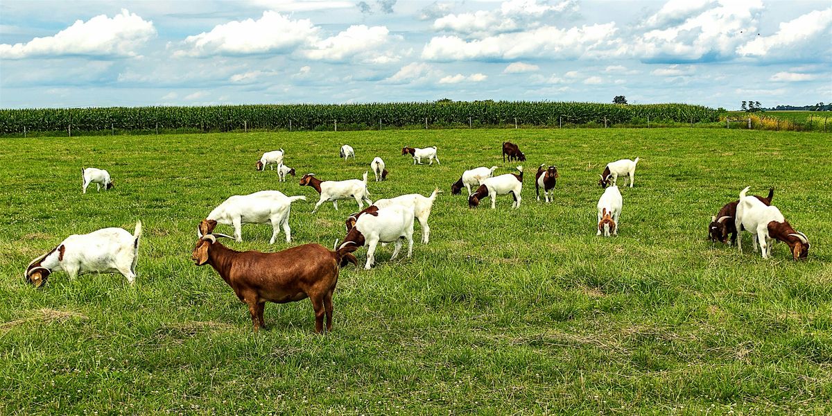 Sheep & Goat FAMACHA\u00a9 Certification