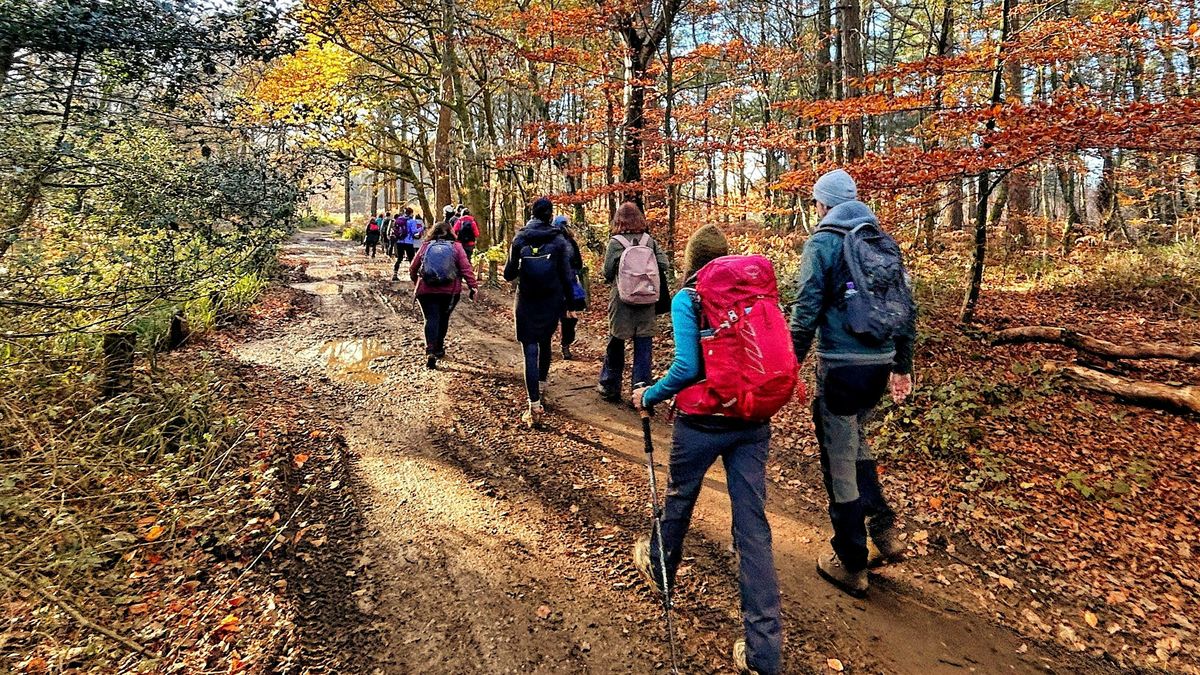 Hiking Winter Hill\u2019s Literary Landscapes, to the wind in the willows.