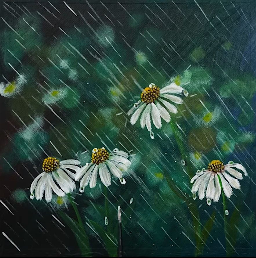 Rainy Day Daisies