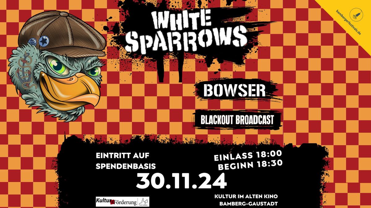 White Sparrows in Bamberg