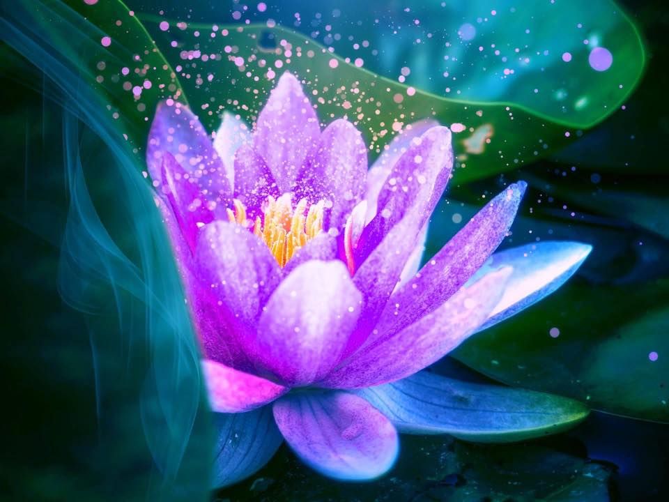 In-Store Psychic with Stephanie Watson