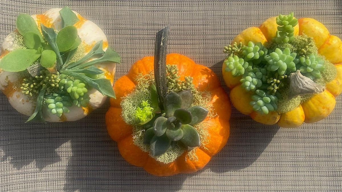 NJ Audubon: Fall Pumpkin Centerpiece Workshop