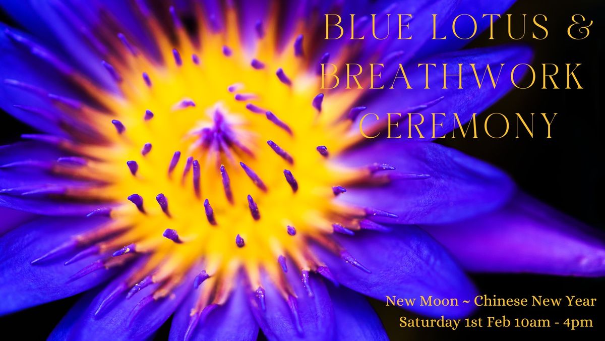 Blue Lotus & Breathwork Ceremony