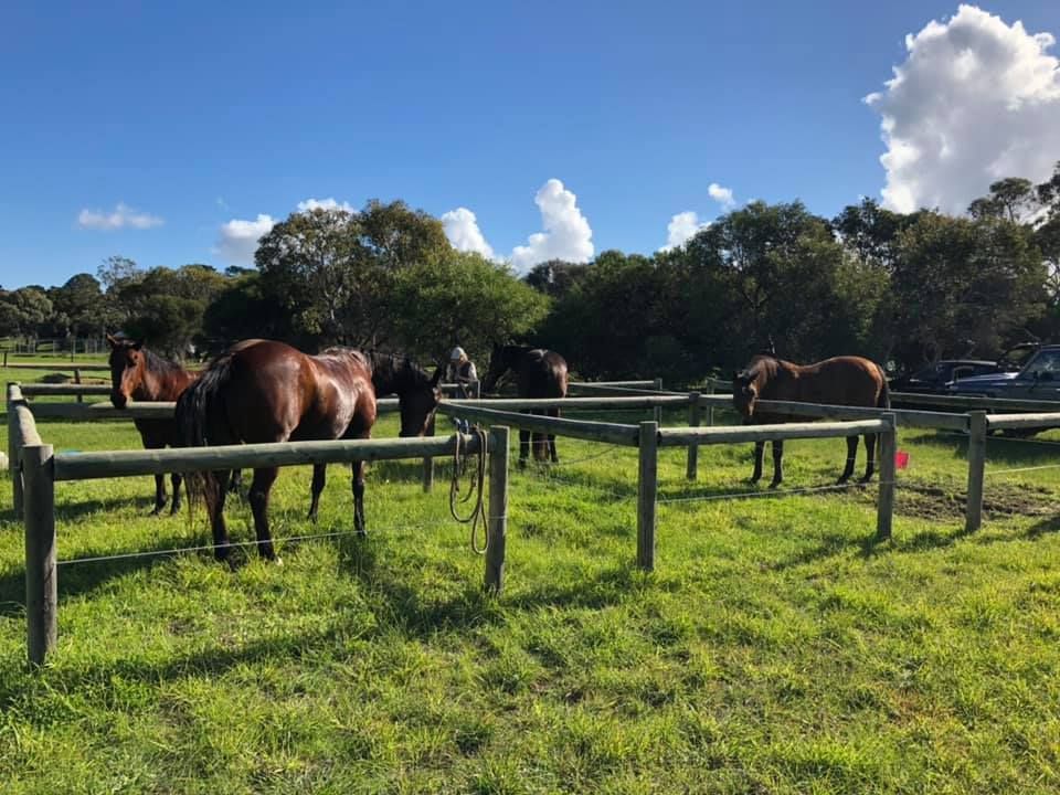 Scenic Coorong Trail Ride