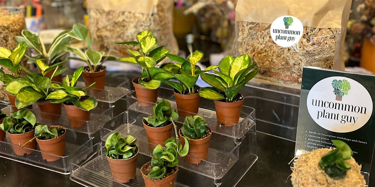 Houseplant Workshop on the Patio @ Larry's