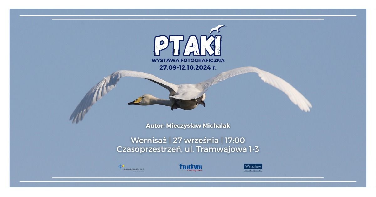 Ptaki -wystawa fotografii Mieczys\u0142awa Michalaka | WERNISA\u017b