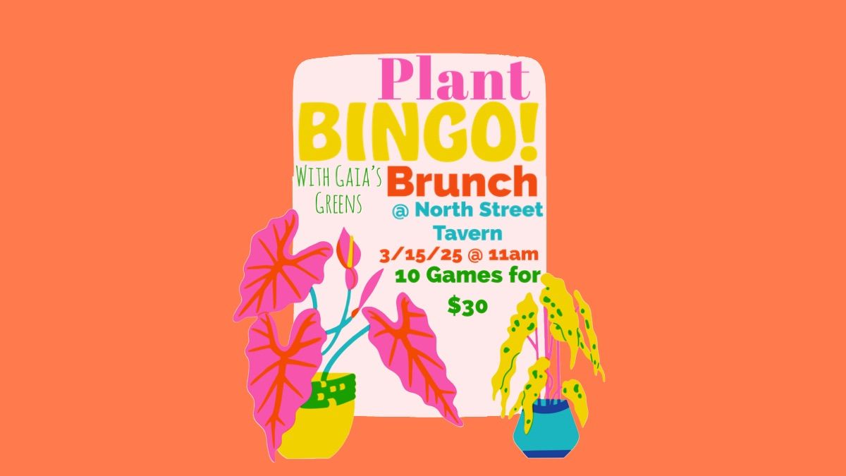 Plant BINGO! @ North Street Tavern 