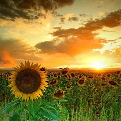 London Spiritualist Church