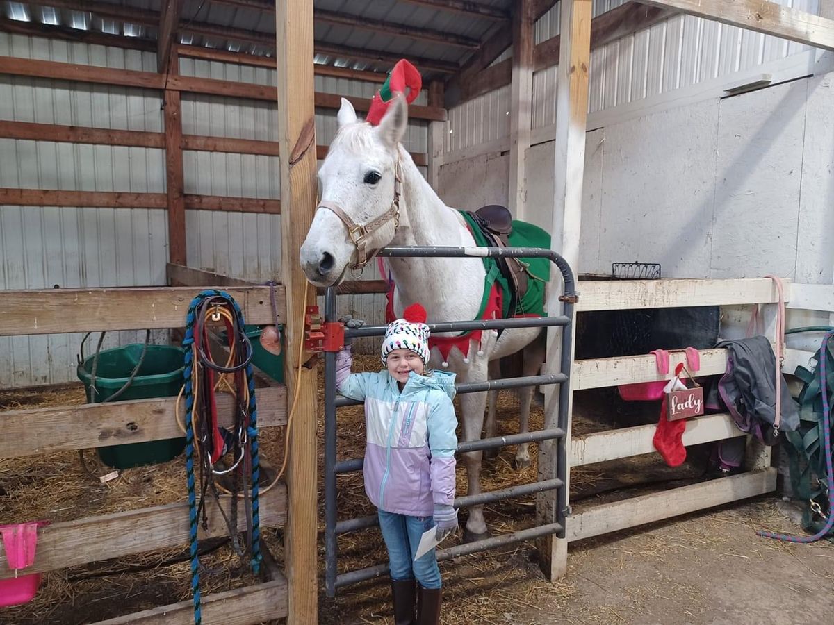 Post a Letter to Santa from a Pony