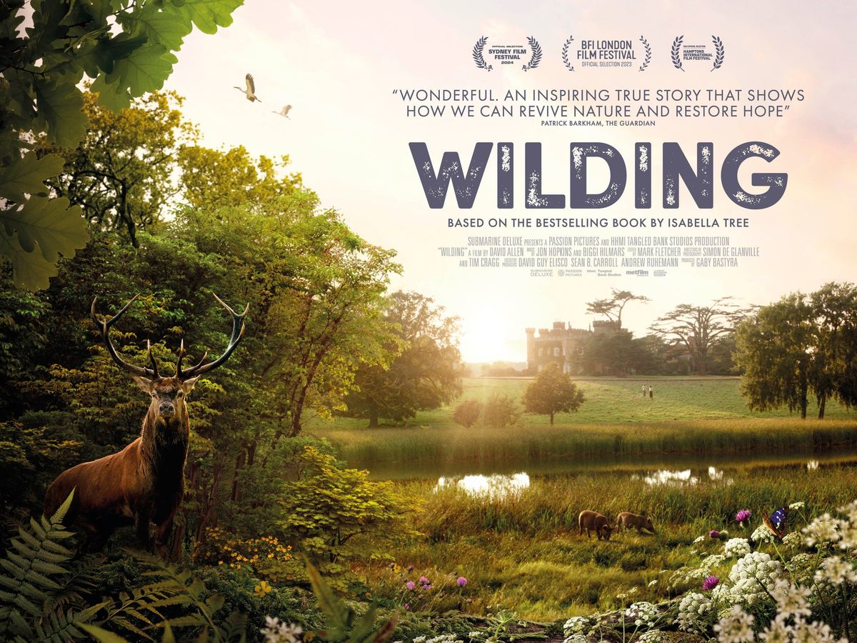 Sold out! Wilding Film Screening